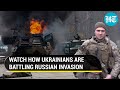 '2,300 Russian troops killed, wounded': Ukraine 'inflicts' heavy losses on Russia | Top updates