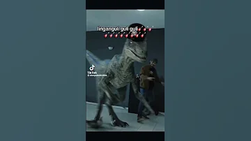 Linganguli Guli Guli Don Pollo Meme Memes Meme Fyp Funny Donpollo 