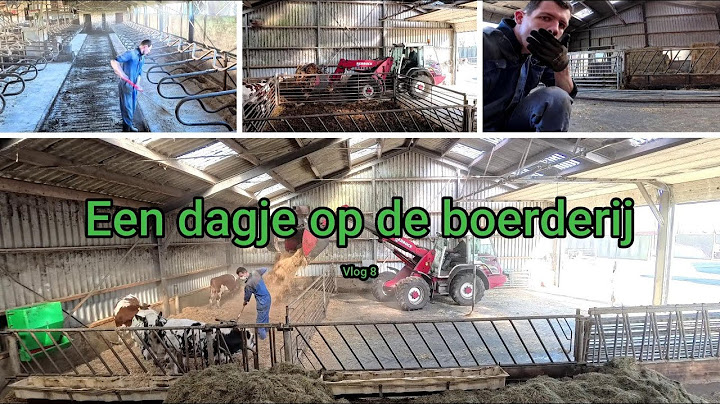 Vlog 8 | Een dagje op de boerderij 2025