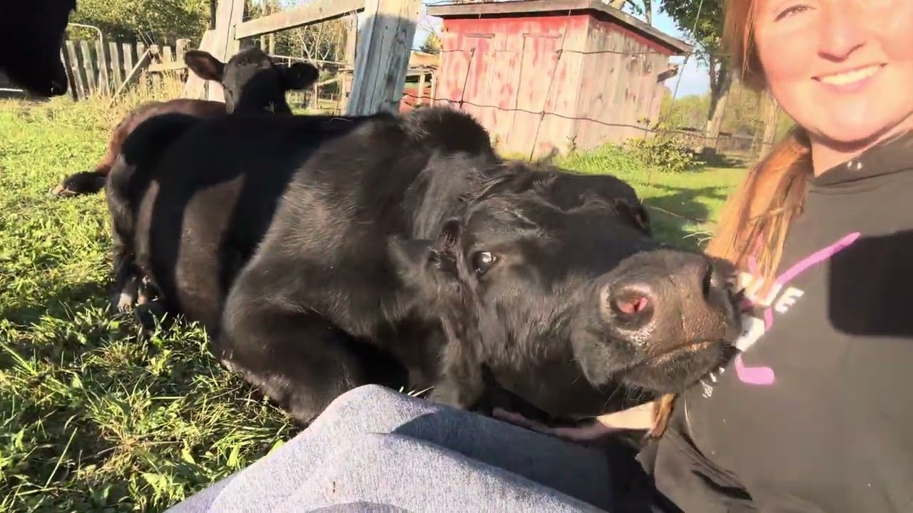 Timothy being a snuggle bug 