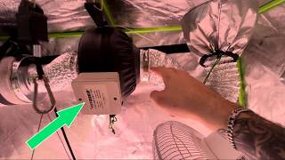 VIVOSUN 4 Inch Grow Tent Fan & Filter Review Wifey Stank Test 4 Inch Carbon Filter Comparison And Review Auertech Vs Ac Infinity Vs Vivosun