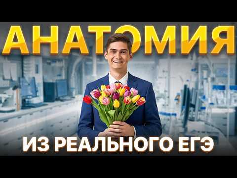 Решаем АНАТОМИЮ из РЕАЛЬНОГО ЕГЭ | СТРИМ НА 8 МАРТА | Марк Ламарк | 100балльный