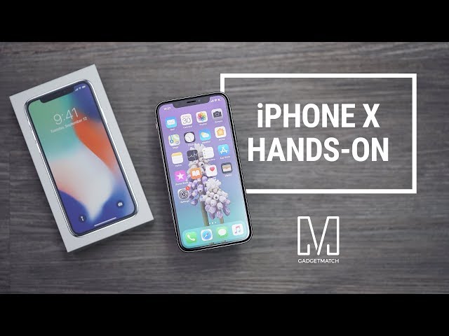 Apple iPhone X 良品 Restored Apple iPhone X - Fully Unlocked - 64 GB Silver