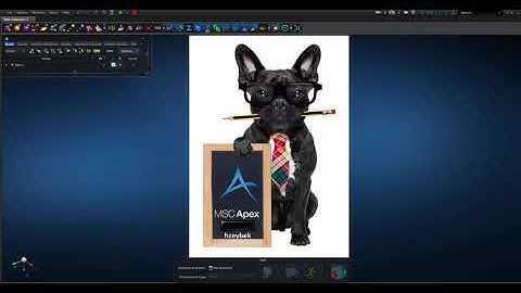 MSC Apex - Hex Mesh (Partition method mirror)