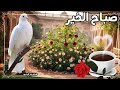 اللهم لا تحوجنا للقاسية قلوبهم ولا تجعلنا نقسو لمن يلجأ إلينا وارزقنا النسيان فيما لا نطيق تحمله اللهم لا تحوجنا للقاسية قلوبهم ولا تجعلنا نقسو لمن يلجأ إلينا وارزقنا النسيان فيما لا نطيق تحمله