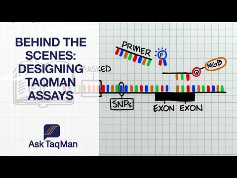 Designing TaqMan Assays - Ask TaqMan #39