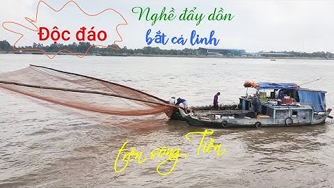 Nghề đẩy dồn bắt cá linh độc đáo trên sông Tiền - nét đẹp văn hóa xứ lụa Tân Châu