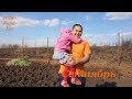 ДАЧА Сентябрь 2018 Масштаб пожара Ростоши 2 3 SafinaFamily