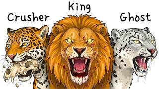 Every BIG WILD CAT Explained in 3 Minutes