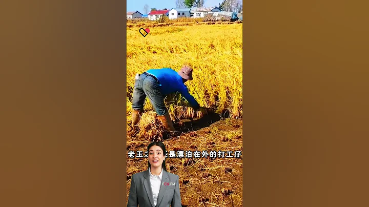 #fcnfm The Future of Farming: The Advantages of Advanced Mobile Grain Drying Machines