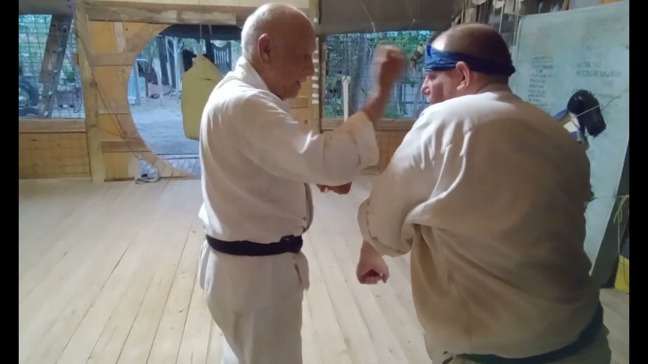 Bunkai of Pin An Go Dan