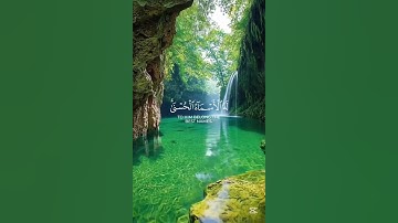 تلاوة جميلة #ياسر_الدوسري #اكسبلور #المصحف #دويتو #yasseraldossary #راحة_نفسية #الرحمن #تيك_توك