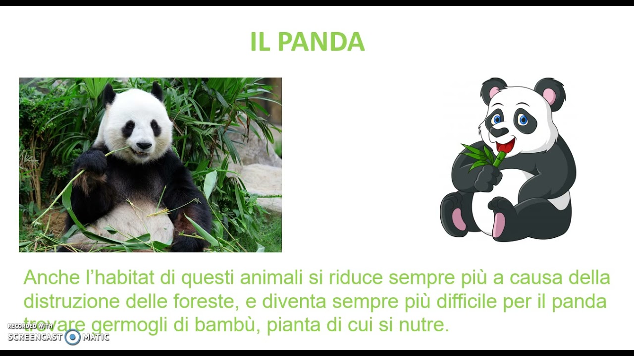 Animali estinti ed in via di estinzione -Scuola primaria (Maestra Mina