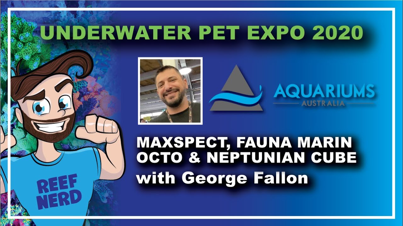 NEW PRODUCTS! - Maxspect, Octo, Neptunian Cube and Fauna Marin ...