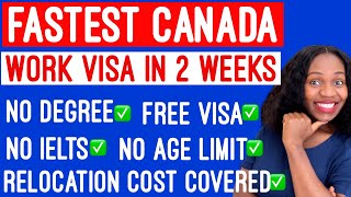 MOVE TO CANADA WITHOUT A DEGREE IN 2023 | UNSKILLED JOBS IN CANADA WITH FREE VISA SPONSORSHIP