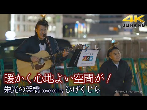 【 歌うま 】暖かく心地よい空間が！　  栄光の架橋 / ゆず（ covered by ひげくじら ）🎧推奨 高音質 路上ライブ 4K映像