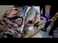 My first time to the fishing port ! Sashimi Cutting Skill / 漁港補貨,多種海鮮,生魚片料理製作 - Taiwan Seafood