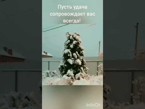 Старый-новый год -