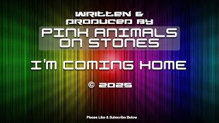 Im Coming Home - Original by Pink Animals on Stones