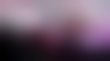 🐉 Team spirit 🐉 Oneshot