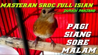 Newest 2022 Masteran SRDC full long duration, clear sound,guarantees that your SRDC joins the topcer