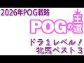 【POGの王道】POGドラフト直前情報「牝馬編」昨年はノームコア産駒を推奨、今年は?