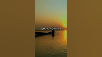 سورة البقرة من الآية 17 إلى 19 بصوت الشيخ ماهر المعيقلي