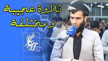 سورة محمد Surah Muhammad القارئ رزكار محمد