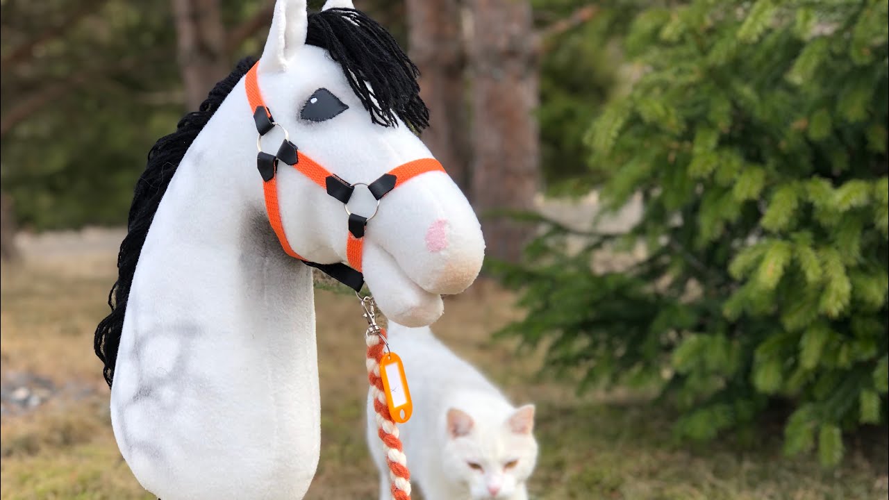 My weekend// uusia heppoja