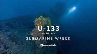 U133 | WRECK 78mM