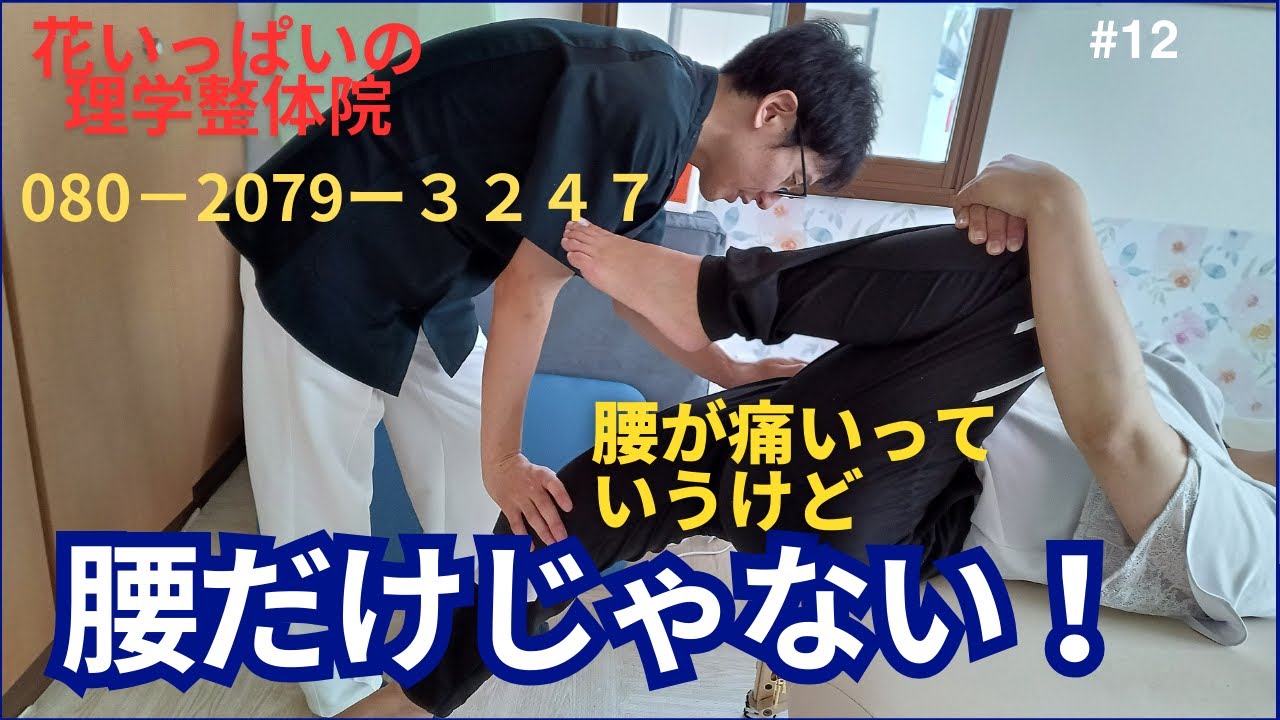 花いっぱいの理学整体院より、腰痛対策をご紹介します。痛いのは腰だから悪いのは腰だけと思ったら大きな勘違い！