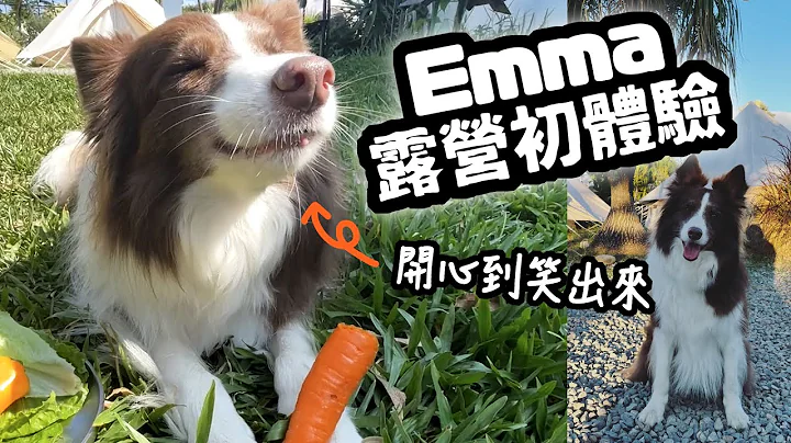 狗與鹿 ｜Emma露營初體驗｜從擔心緊張...到放鬆舒壓笑出來的一趟旅行 - 天天要聞