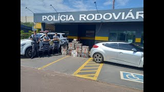 Mais de meia tonelada de maconha é apreendida pela Polícia Rodoviária na região de Rio Claro
