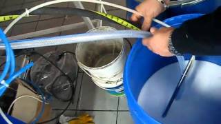 Automatic Dosing System