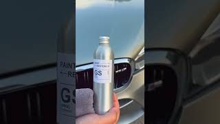 Paint Restorer by Grigo Systems