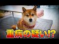 突然の血尿で病院へ。セカンドオピニオンで思いもよらない診断結果が出ました・・・