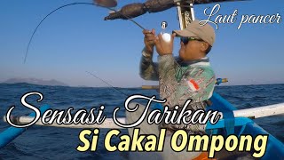 Mancing popping, jigging,dan eging di laut pancer | angler jalanan