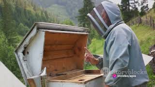 07 Hive Connectivity And Remote Management