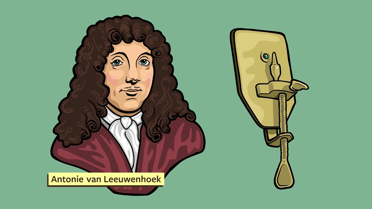 A Brief History Of The Microscope