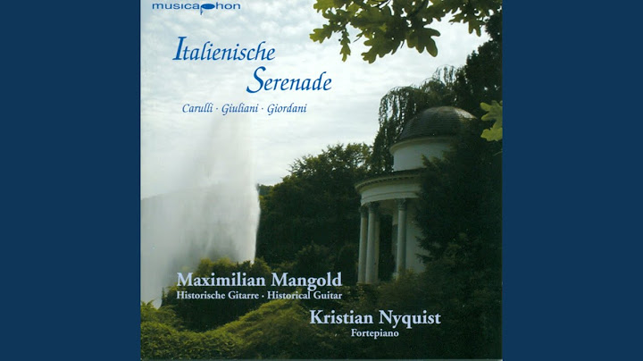 Duo in D Major, Op. 134: I. Larghetto