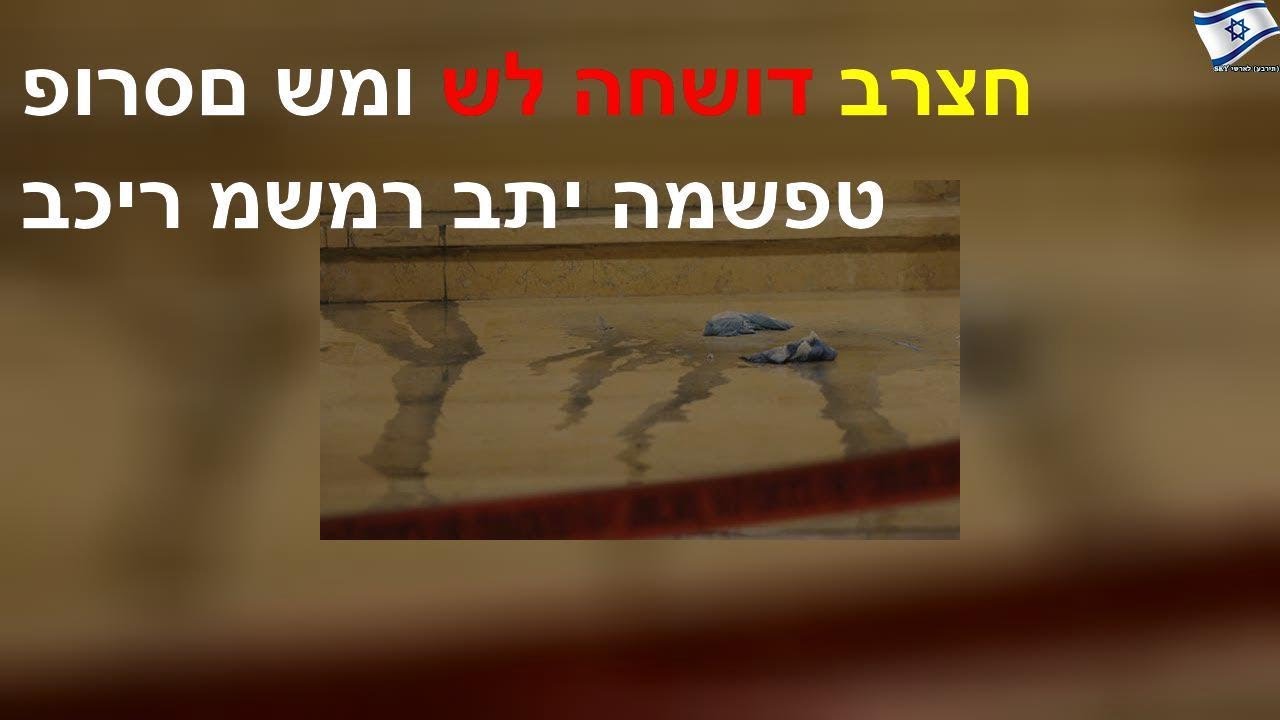 צאט