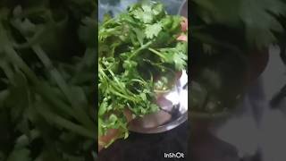 #🌿🌿हरी धनिया की चटनी खाने के जबरदस्त फायदे | 🥗🥗Immunity Boosting Green Chutney Benefits🥦👍#weightloss