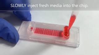 Details Step 4 Cell culture - Cellgem SINGLE CELL ISOLATION PLATFORM Step-by-step Guide