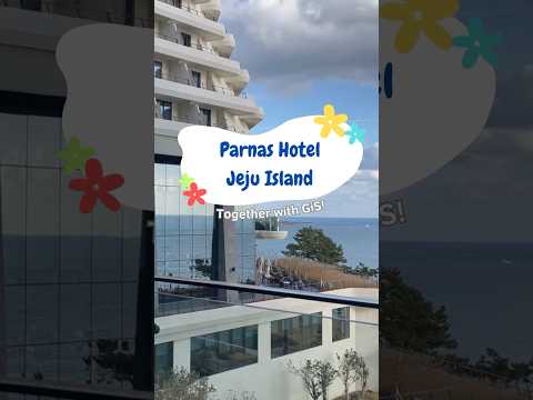 Let’s go on a Workshop in Jeju with GIS! Part 4: Parnas Hotel Jeju #jeju #travel #korea #여행 #제주도