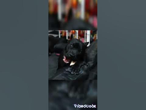 маленькие и большие - YouTube