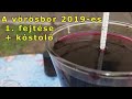 A vörösbor 2019-es 1. fejtése + kóstoló