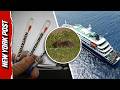 What is Hantavirus? Everything to Know About the Outbreak on the MV Hondius Cruise Ship