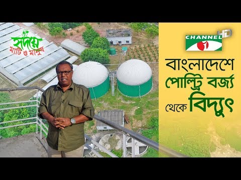 ভিডিও: পোল্ট্রি যাজকরা