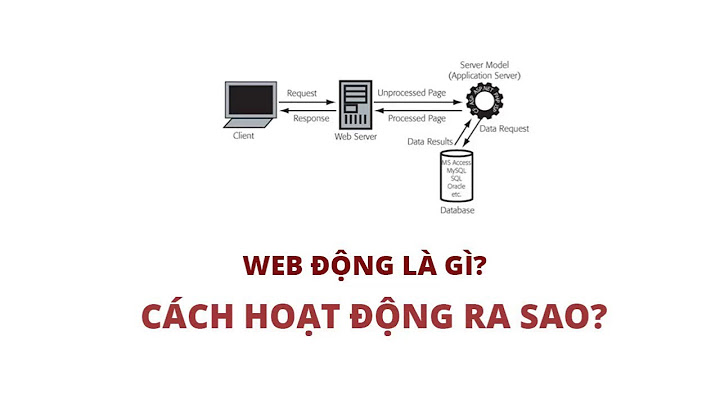 Hướng dẫn làm web động năm 2024