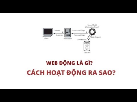 Video Web động là gì? Cách xử lý trang web động - YouTube